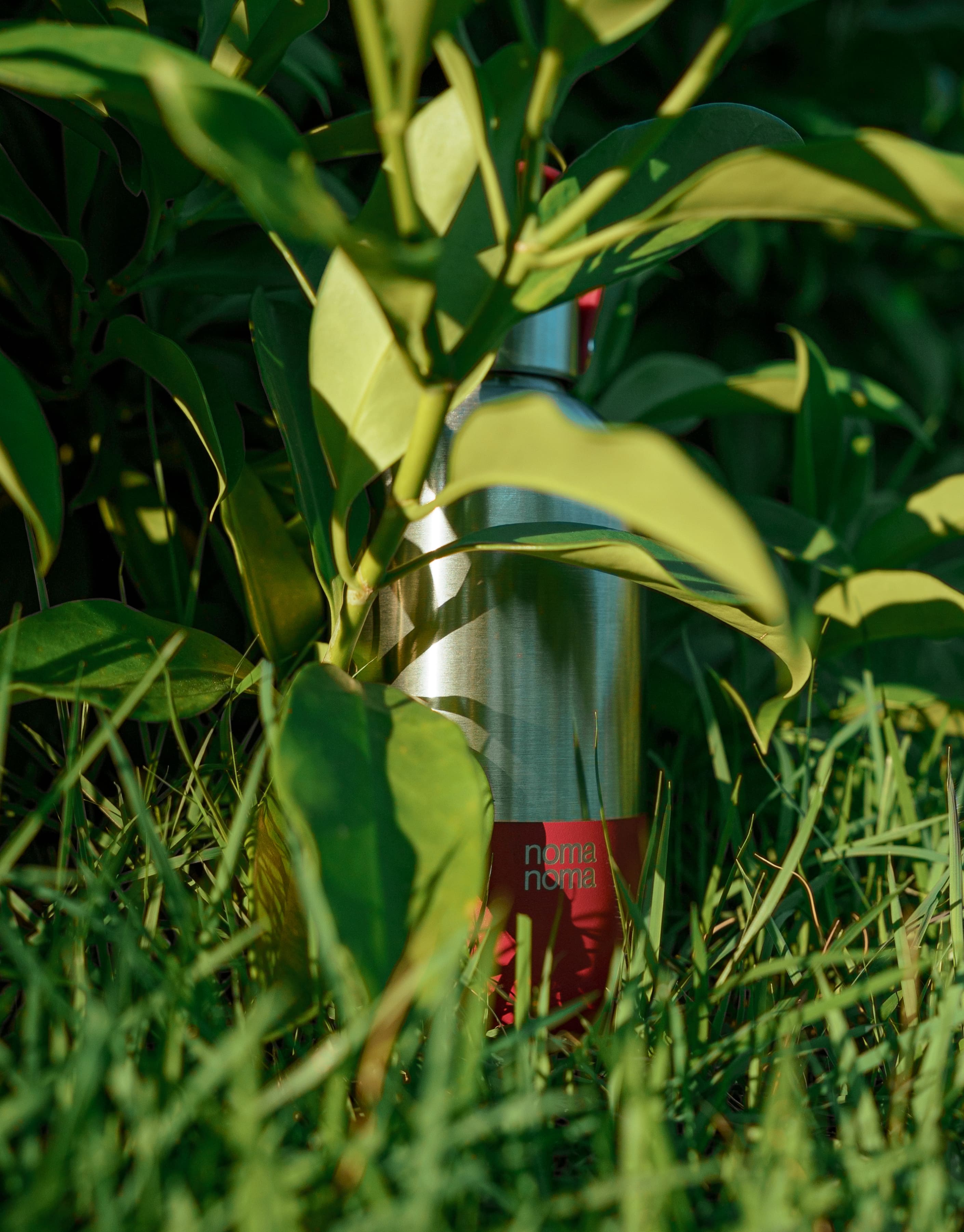 Die grenadine red Edelstahltrinkflasche von noma noma steht im Gras und wird von einem Grashalm leicht versteckt.